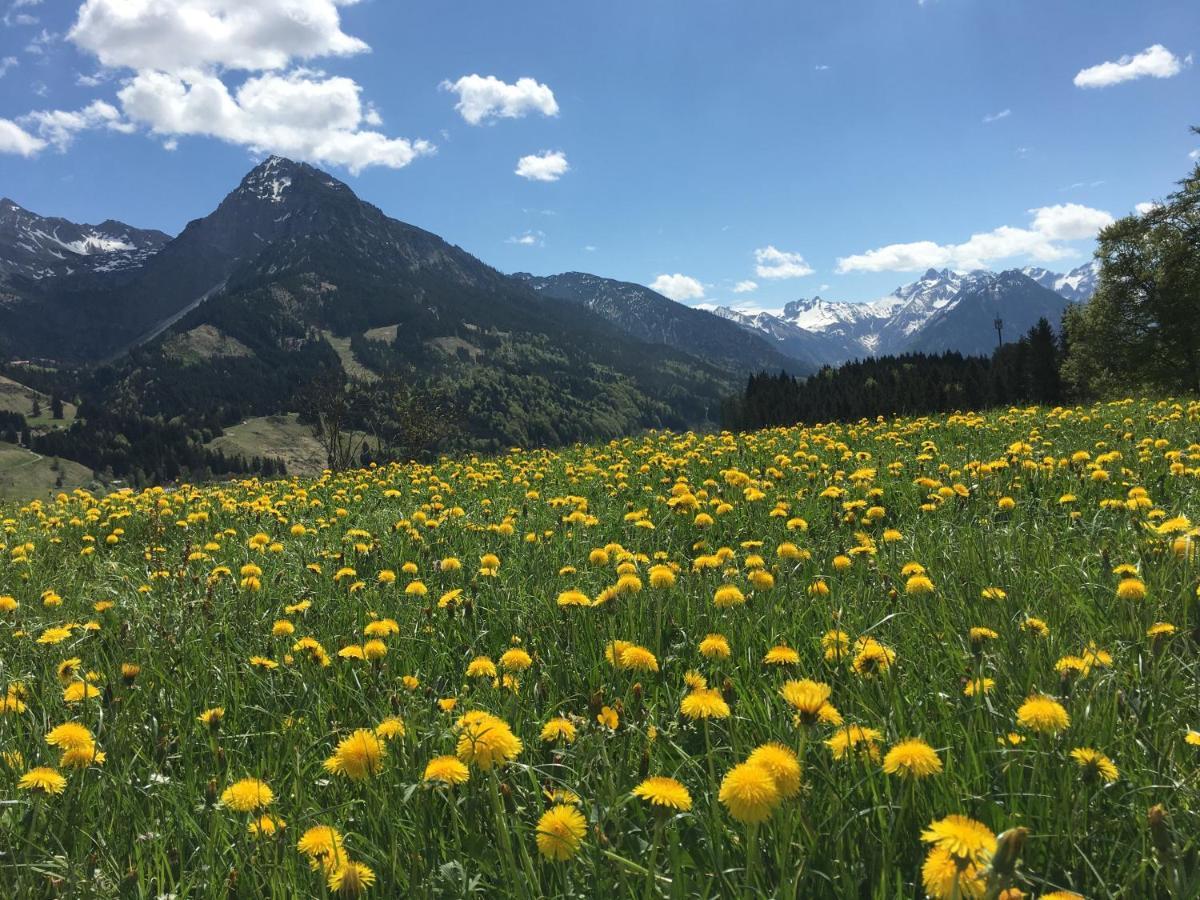 Bergfex Gaisalphorn Mit Sommer-bergbahnticket Apartment